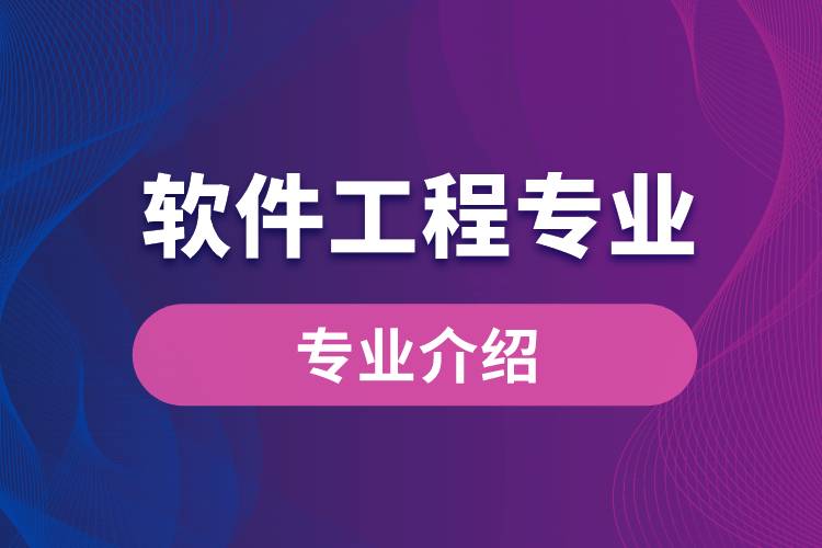 軟件設(shè)計(jì)與開發(fā) 從需求到創(chuàng)新的工程實(shí)踐